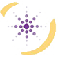 CSN Web